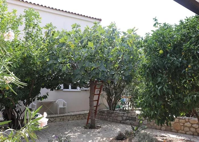 Meraki Σελιανίτικα